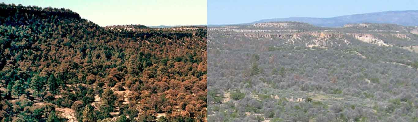 Climate induced drought in US Southwest