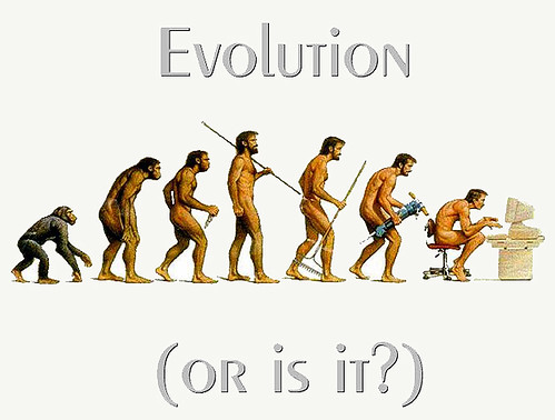 Evolution of Man Paradies