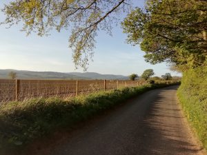 Country road