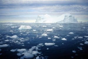 Loss of Ice in Greenland, Icebergs in Disco Bay