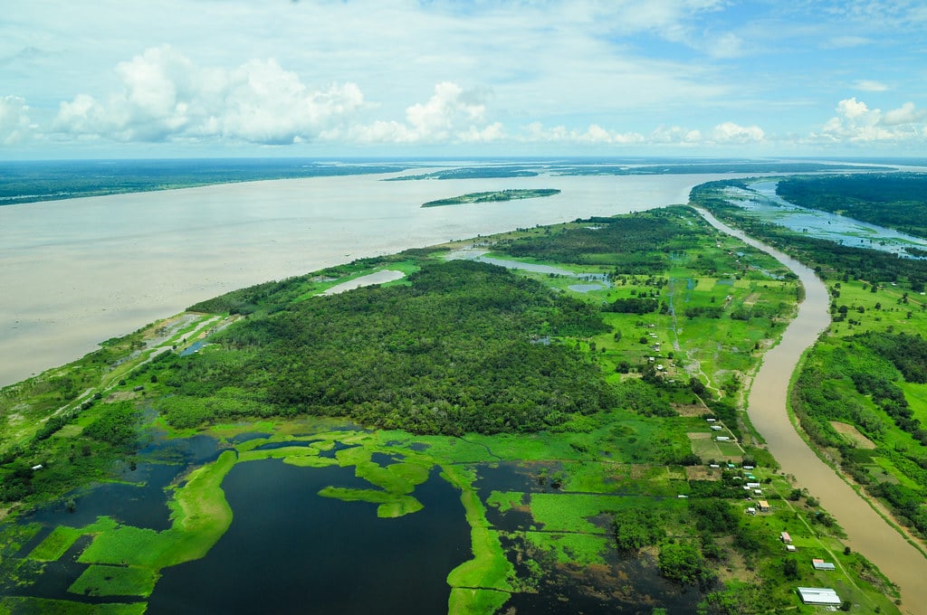 Aerial view of the Amazon Rainforest