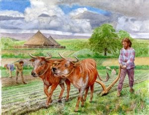 Iron Age Farming