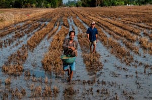 The Mekong Delta is set to face more extreme weather conditions in Vietnam