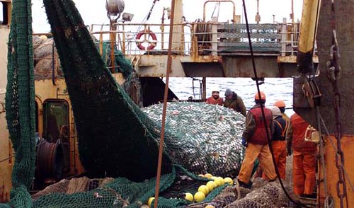 Fishing Vessel Crew