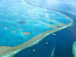 Photo: Amazing Great Barrier Reef, by Studio Sarah Lou is licensed under CC BY 2.0. 