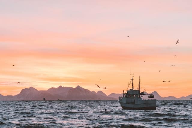 Photo by Knut Troim on Unsplash