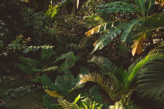 Photo by Conscious Design on Unsplash