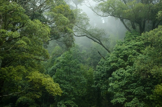 Photo by Lingchor is licensed by Unsplash.