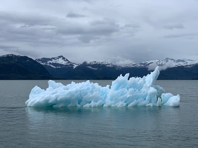 Photo by Melissa Bradley is licensed by Unsplash