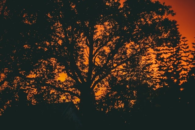 Photo by Raimond Klavins is licensed by Unsplash
