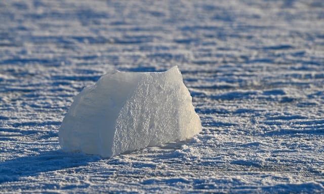 Photo by Margo Evardson is licensed by Unsplash